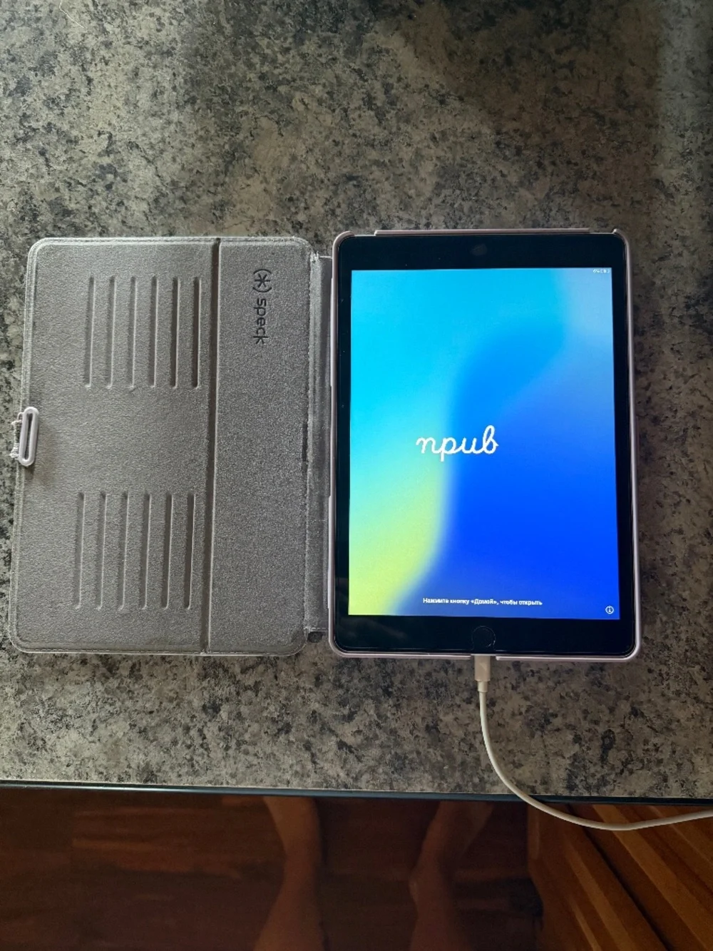 Apple iPad ninth generation
